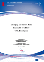 emerging and future risks executable workflow uml description