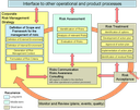 The Risk Management Process